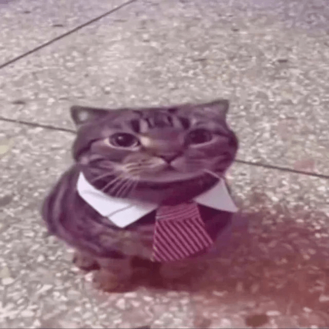 You will never recognize me again (and we all&nbsp;end)